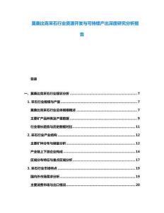 莫桑比克采石行業(yè)資源開發(fā)與可持續(xù)產出深度研究分析報告