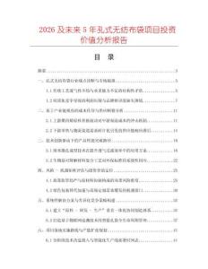2026及未來5年孔式無紡布袋項目投資價值分析報告