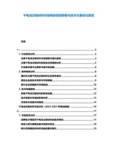 干電池正極材料市場(chǎng)稀缺資源獲取與技術(shù)方案優(yōu)化報(bào)告