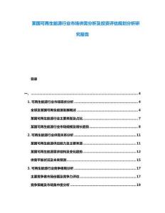 某國可再生能源行業市場供需分析及投資評估規劃分析研究報告