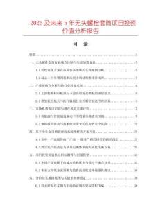 2026及未來5年無頭螺栓套筒項目投資價值分析報告