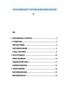 摩爾多瓦鋼材深加工產(chǎn)業(yè)升級技術(shù)選擇與投資方向分析研究