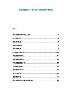 南非貴金屬礦產(chǎn)開采項目投資風險評估報告