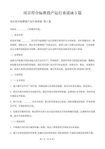 項目符合標準投產運行承諾函5篇