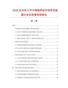 2026及未來5年中國磁羅經(jīng)市場現(xiàn)狀數(shù)據(jù)分析及前景預(yù)測報(bào)告