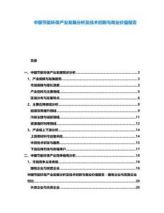 中國(guó)節(jié)能環(huán)保產(chǎn)業(yè)發(fā)展分析及技術(shù)創(chuàng)新與商業(yè)價(jià)值報(bào)告