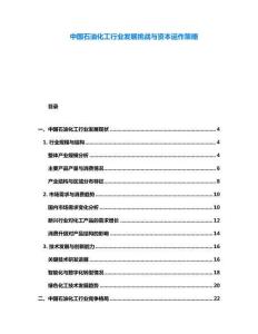 中國(guó)石油化工行業(yè)發(fā)展挑戰(zhàn)與資本運(yùn)作策略