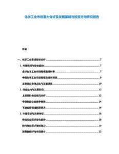 化學(xué)工業(yè)市場潛力分析及發(fā)展策略與投資方向研究報告