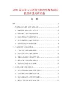 2026及未來5年吸取式抽水機模型項目投資價值分析報告