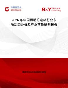 2026年中國照明分電箱行業市場動態分析及產業前景研判報告
