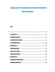 美國佐治亞州汽車引擎制造行業市場供需分析及投資評估規劃分析研究報告