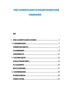 中國(guó)工業(yè)互聯(lián)網(wǎng)平臺(tái)運(yùn)營(yíng)行業(yè)市場(chǎng)深度評(píng)估及數(shù)字化轉(zhuǎn)型與智能制造報(bào)告