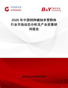 2026年中國特種碳納米管粉體行業(yè)市場(chǎng)動(dòng)態(tài)分析及產(chǎn)業(yè)前景研判報(bào)告
