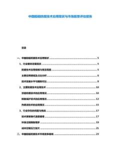 中國船舶防腐技術(shù)應(yīng)用現(xiàn)狀與市場前景評估報告