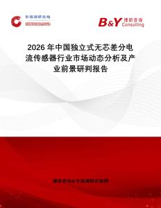 2026年中國獨立式無芯差分電流傳感器行業市場動態分析及產業前景研判報告