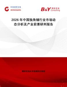 2026年中國獨(dú)角錘行業(yè)市場動(dòng)態(tài)分析及產(chǎn)業(yè)前景研判報(bào)告