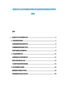 能源合作行業市場現狀供需分析及投資評估規劃分析研究報告