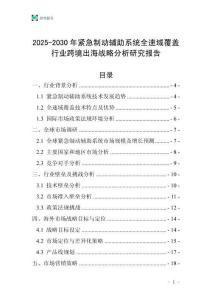 2025-2030年緊急制動輔助系統全速域覆蓋行業跨境出海戰略分析研究報告