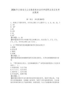 2026年云南省文山壯族苗族自治州單招職業適應性考試題庫及答案詳解一套