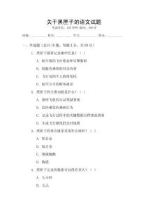 關于黑匣子的語文試題