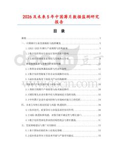 2026及未來5年中國薄片數(shù)據(jù)監(jiān)測研究報告