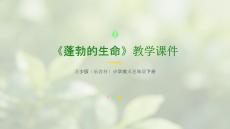 《蓬勃的生命》教學(xué)課件-2025-2026學(xué)年蘇少版（新教材）小學(xué)美術(shù)三年級(jí)下冊(cè)