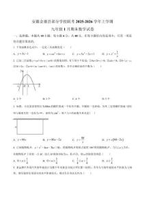 安徽省六安市金寨縣部分學(xué)校2025-2026學(xué)年九年級(jí)上學(xué)期1月期末數(shù)學(xué)試題