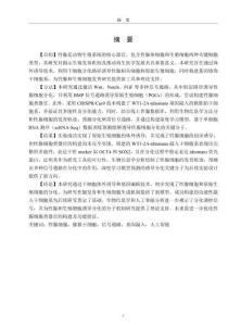 基于干細胞誘導與基因編輯技術的性腺及生殖細胞發育研究