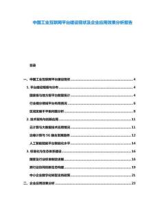 中國(guó)工業(yè)互聯(lián)網(wǎng)平臺(tái)建設(shè)現(xiàn)狀及企業(yè)應(yīng)用效果分析報(bào)告