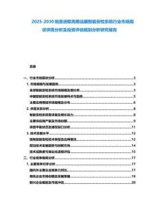 2025-2030銳意進(jìn)取高瞻遠(yuǎn)矚智能安檢系統(tǒng)行業(yè)市場(chǎng)現(xiàn)狀供需分析及投資評(píng)估規(guī)劃分析研究報(bào)告