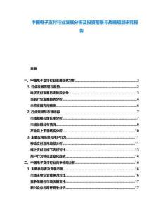 中國電子支付行業發展分析及投資前景與戰略規劃研究報告
