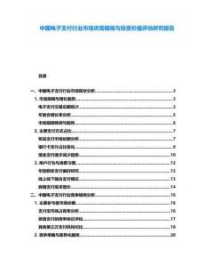 中國電子支付行業市場供需格局與投資價值評估研究報告