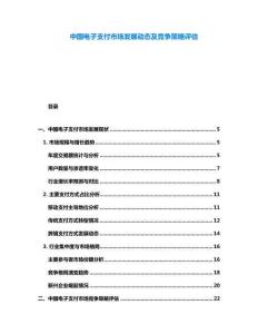 中國電子支付市場發展動態及競爭策略評估