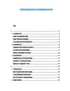 松脂投資融資風險分析發(fā)展策略研究報告