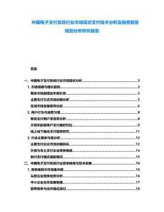 中國電子支付系統行業市場現狀支付技術分析及融資前景規劃分析研究報告