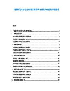 中國拌勻科技行業市場供需現狀與投資評估規劃詳覆報告