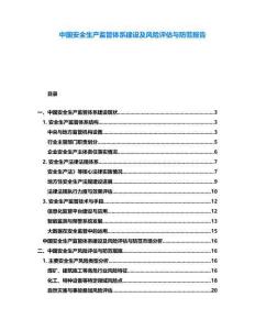 中國安全生產(chǎn)監(jiān)管體系建設(shè)及風(fēng)險評估與防范報告