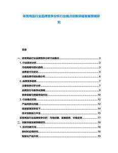 體育用品行業品牌競爭分析行業痛點創新突破發展策略研究