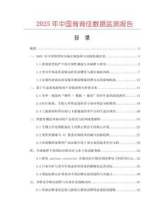 2025年中國(guó)背背佳數(shù)據(jù)監(jiān)測(cè)報(bào)告