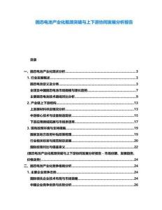 固態(tài)電池產(chǎn)業(yè)化瓶頸突破與上下游協(xié)同發(fā)展分析報(bào)告