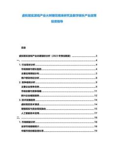 虛擬現實游戲產業火樹銀花精準研究及數字娛樂產業政策投資指導