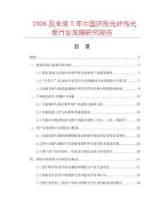 2026及未來(lái)5年中國(guó)環(huán)形光纖傳光束行業(yè)發(fā)展研究報(bào)告