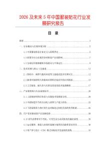 2026及未來5年中國服裝貼花行業(yè)發(fā)展研究報告