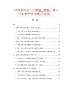 2026及未來5年中國五角星LED燈光纖樹行業(yè)發(fā)展研究報告