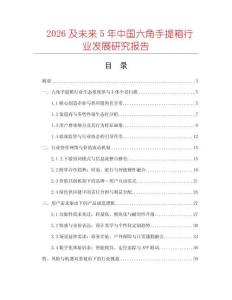 2026及未來5年中國六角手提箱行業發展研究報告
