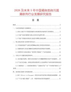 2026及未來5年中國瓷磚地磚污斑清除劑行業(yè)發(fā)展研究報告