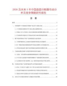 2026及未来5年中国画面分割器市场分析及竞争策略研究报告