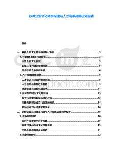 軟件企業文化體系構建與人才發展戰略研究報告
