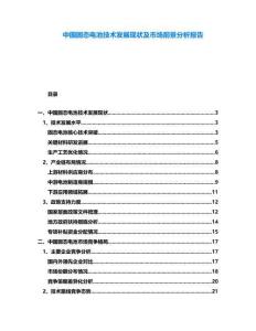 中國(guó)固態(tài)電池技術(shù)發(fā)展現(xiàn)狀及市場(chǎng)前景分析報(bào)告