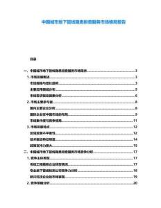 中國城市地下管線隱患排查服務市場格局報告